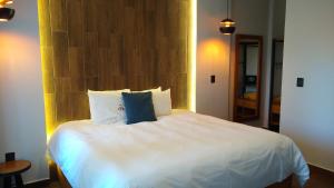 HOTEL REAL DEL MONTE WOODs