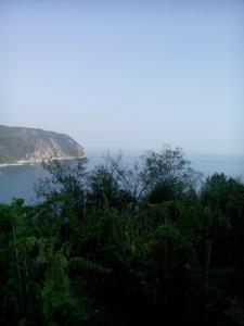 Antica Torre