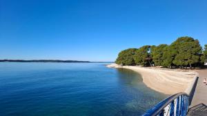 Romantic Apartment Flower