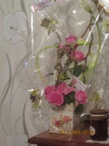B&B / Chambres d'hotes studios les Hortensias : photos des chambres