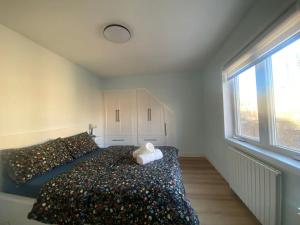 Homey Downtown Private Family Suites