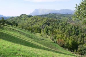 Montefortino Apartment with Shared Pool
