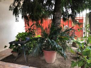Casa hogareña de un piso La Chulis