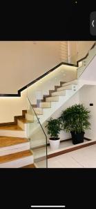 Laa home