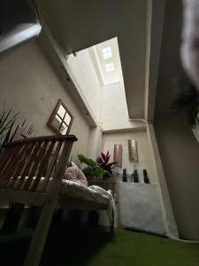 Casa Caracol