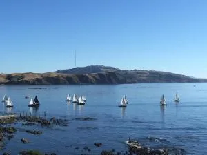 Ocean View Self-contained Apartment - Pauatahanui