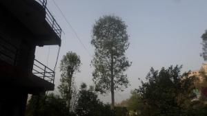 Peace Point Guest House 01