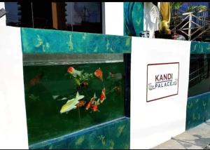 Studio Kandi Palace 10th floor, Netflix, Free Maid, 55sqm