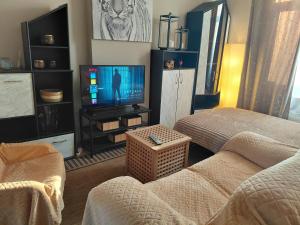 Sunny Days Cozy and Comfortable Apartment
