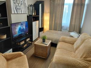 Sunny Days Cozy and Comfortable Apartment