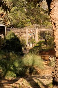 Halcyon House - A Hidden Bushland Retreat