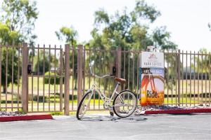 209 Fully Furnished 1BR Suite-Prime Location