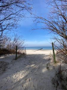 Sternik Dom gościnny