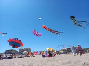 ZEcamping 3 animé avec club enfant toboggans restaurant et piscine
