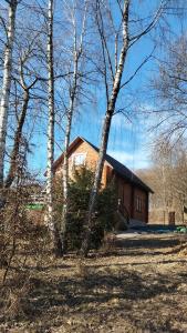 Вілла 4 качки - будинок з чаном в лісі біля Львова