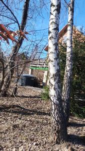 Вілла 4 качки - будинок з чаном в лісі біля Львова