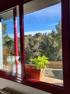 Loft con jardín privado, mascotas bienvenidas en Sant Cugat Barcelona