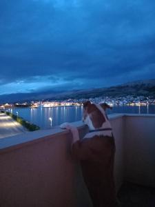 Apartmani Maja