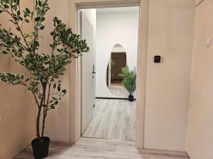 LABIRINT - center, free parking, self check-in