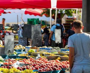 Le Nid Vert - air conditioning - ground floor