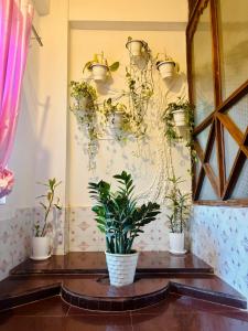 The Divine Abode Homestay