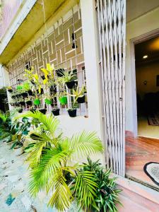The Divine Abode Homestay