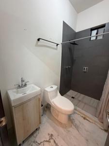 suites ejecutivas centro guadalupe