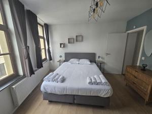 design appartement in Bruxelles center