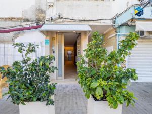 Apto Antic 101 Pax 6