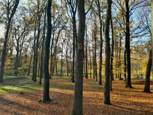 Casa Sosafora - Boshuisje Veluwe