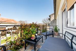 Vacation House Ana I Istrian Green Retreat