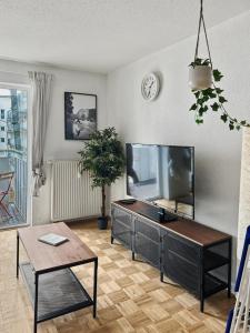 StayTime - Pine Studio