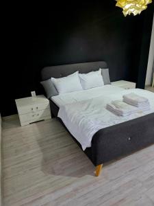 SCP apartaments 4