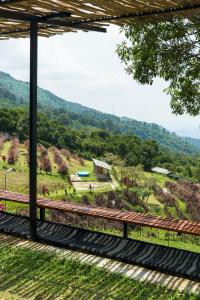 Retreat farm hill villa nature fog sunrise