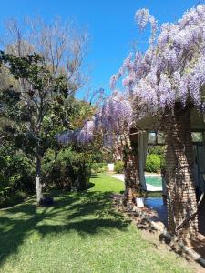 Casa Tara Relax Oasis