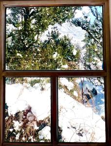 The Himalayan Cafe THC