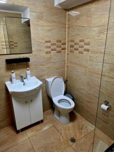 SCP apartaments 5