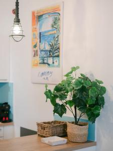 Un Air dAzur, hyper centre & proche des plages