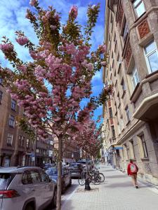 NOVIA apartment & Free Parking & Self Check in