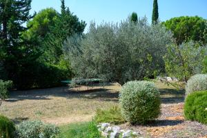 La Tarente - Bedoin - Mont Ventoux - Mas provençal - 8 à 10 personnes - Idéal famille ou cyclistes