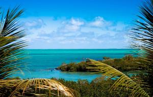 Coastal Road, Beau Champ, Mauritius.