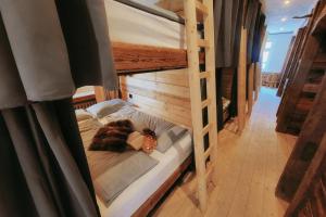 urig-alpine Lala Alm - 22 Personen