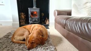 2 Bed in Holloway oc-b32124