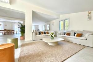 Luxurious villa with swimming pool