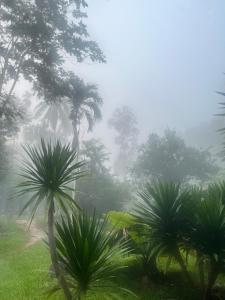 Ban Suan Chana Homestay
