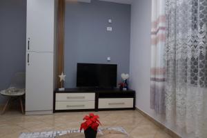 Apartment Central SS