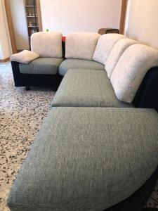 Cantusüt
