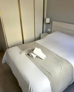 Nest Flats Plaza del Carmen