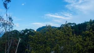 Sky9 Homestay