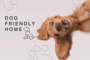 Spacious City centre 2 bed home Parking Sleeps 4